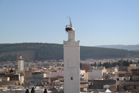 Medina-Sefrou-seen-from-the-roof