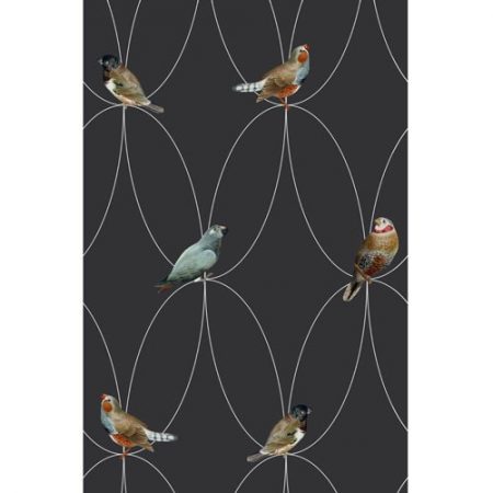 Brunklaus Birds Anthracite Wallpaper