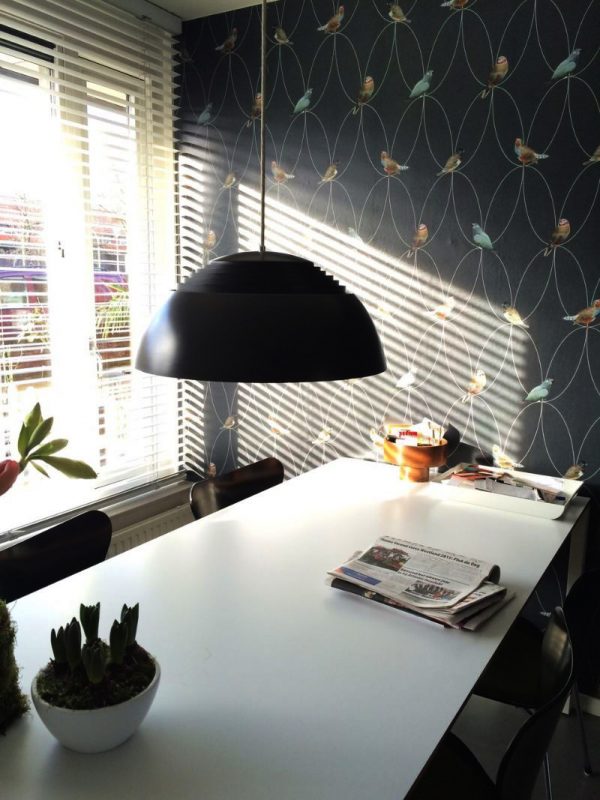Brunklaus Birds Anthracite Wallpaper in private home