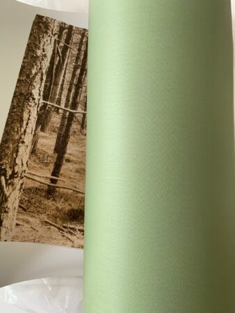 lampshade forest green